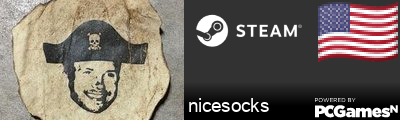 nicesocks Steam Signature
