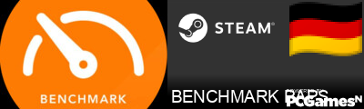 BENCHMARK PAPS Steam Signature