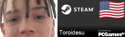 Toroidesu Steam Signature