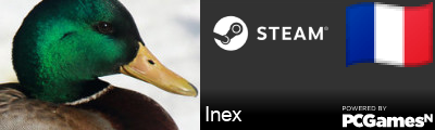 Inex Steam Signature