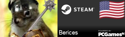 Berices Steam Signature