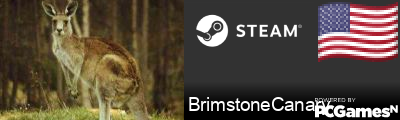 BrimstoneCanary Steam Signature