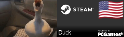 Duck Steam Signature