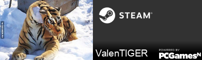 ValenTIGER Steam Signature