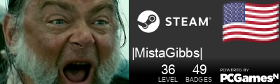 |MistaGibbs| Steam Signature