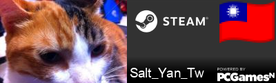 Salt_Yan_Tw Steam Signature