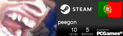 peegon Steam Signature