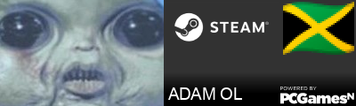 ADAM OL Steam Signature