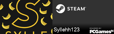 Syllehh123 Steam Signature
