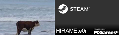 HIRAMEte0r Steam Signature