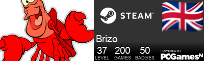 Brizo Steam Signature