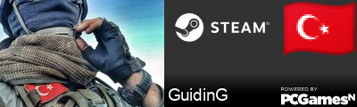 GuidinG Steam Signature