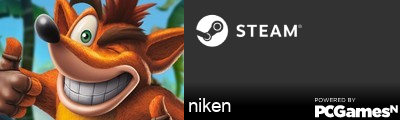 niken Steam Signature