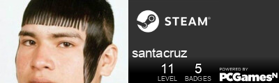 santacruz Steam Signature
