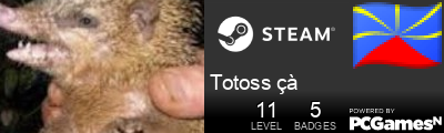 Totoss çà Steam Signature