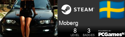 Moberg Steam Signature
