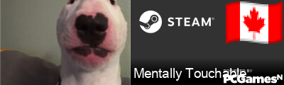 Mentally Touchable Steam Signature