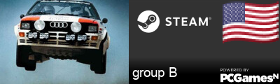 group B Steam Signature