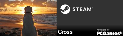 Cross Steam Signature