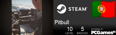 Pitbull Steam Signature