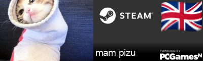 mam pizu Steam Signature