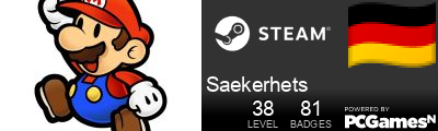 Saekerhets Steam Signature