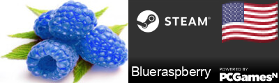 Blueraspberry Steam Signature