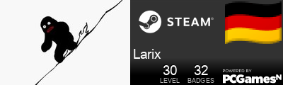Larix Steam Signature