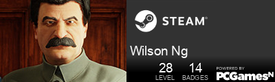 Wilson Ng Steam Signature