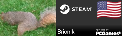 Brionik Steam Signature