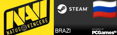 BRAZI Steam Signature