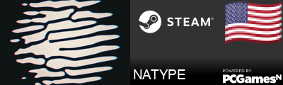 NATYPE Steam Signature