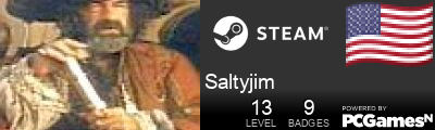Saltyjim Steam Signature