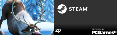 zp Steam Signature