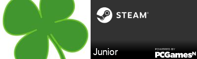 Junior Steam Signature