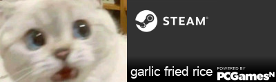 garlic fried rice Steam Signature