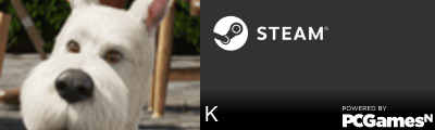 K Steam Signature