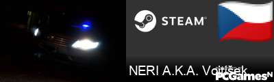 NERI A.K.A. Vojtíšek Steam Signature
