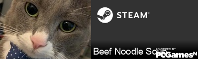 Beef Noodle Soup Steam Signature