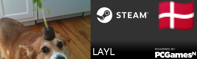 LAYL Steam Signature