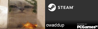 owaddup Steam Signature