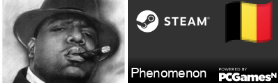 Phenomenon Steam Signature