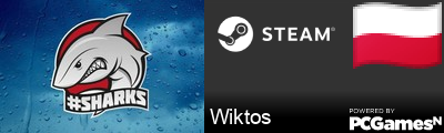 Wiktos Steam Signature