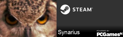 Synarius Steam Signature