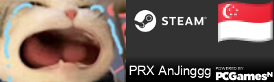 PRX AnJinggg Steam Signature