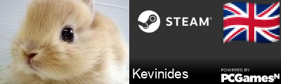 Kevinides Steam Signature