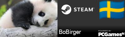 BoBirger Steam Signature