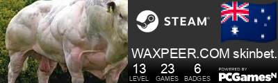 WAXPEER.COM skinbet.gg Steam Signature