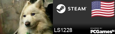 LS1228 Steam Signature