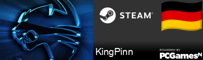 KingPinn Steam Signature